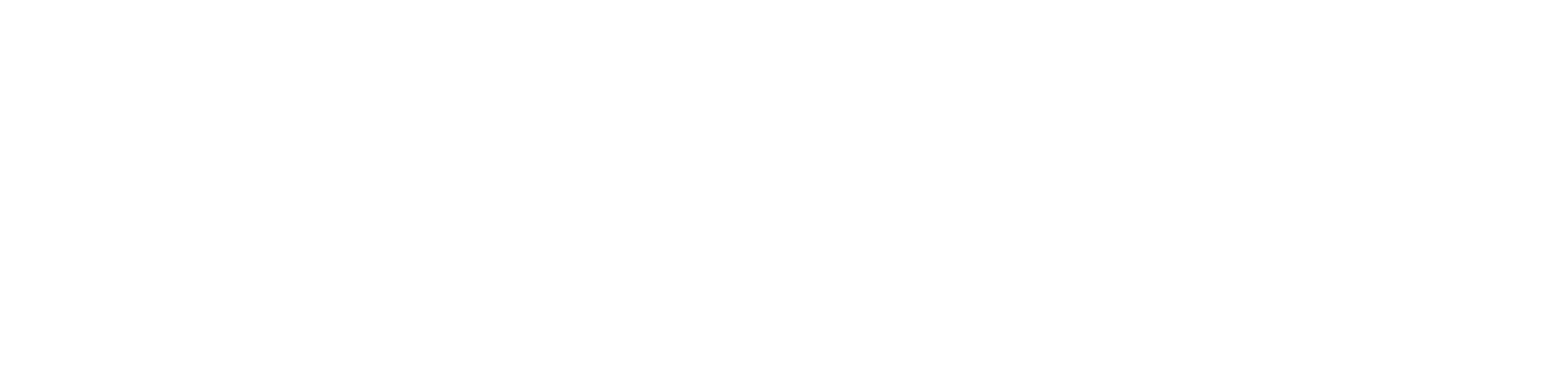 Dicon Construction